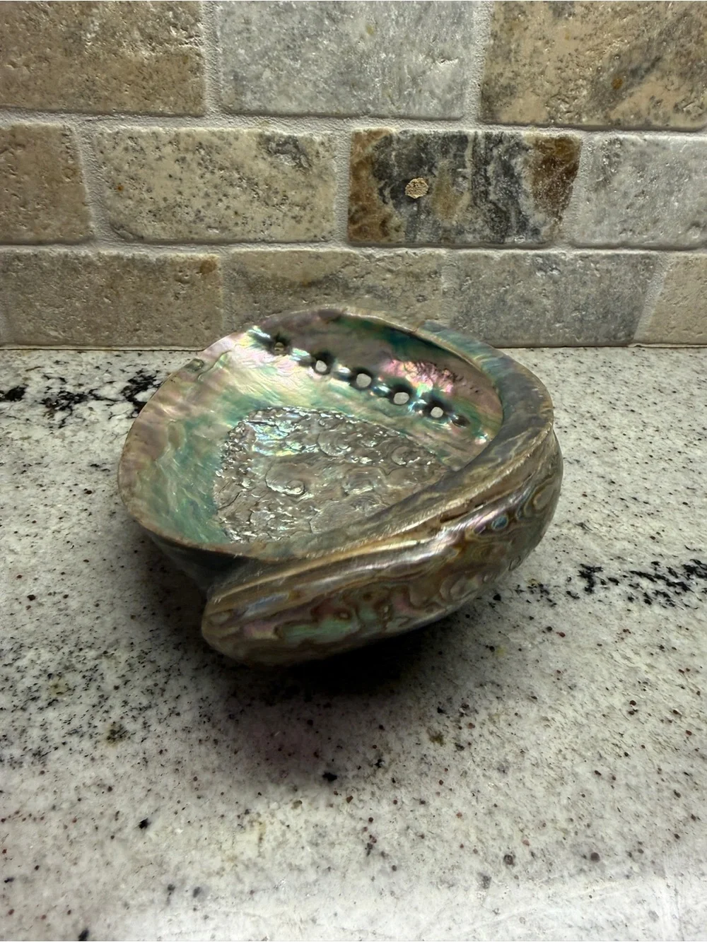 Large Iridescent Abalone Shell Bowl